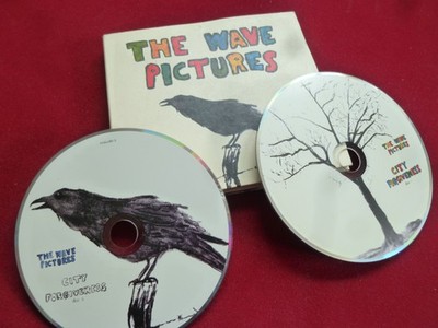 The Wave Pictures '' City Forgiveness ''