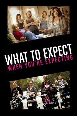 What To Expect When You're Expecting (DVD, Wide, 2012) *DISC ONLY* NO CASE