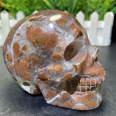 1.4LB 3.4''Natural Indonesian Agate Skull Crystal Quartz Carving Reiki Decoration