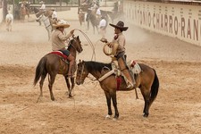Foto: San Antonio Texas 2014 Charreria Rodeo Mexicano Fiesta Caballos Vaqueros