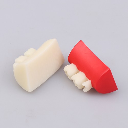 Dental Inlay Exercise Model Block Filling Exercise For Dentistry Teaching Stud - Picture 8 of 12