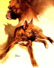 2 Boxer Dogs - CUSTOM MATTED - Vintage Art Print - Poortvliet