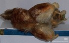 Picture 3 of 4