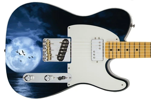 Guitar Skin Axe Wrap Re-skin Midnight Fly Home Wildlife Bound 573