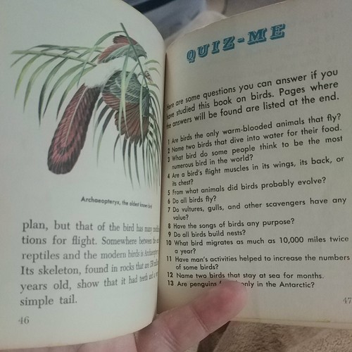 Quiz-Me Birds Junior Golden Guide-pbk-George B. Stevenson-illustrated - Imagen 9 de 9