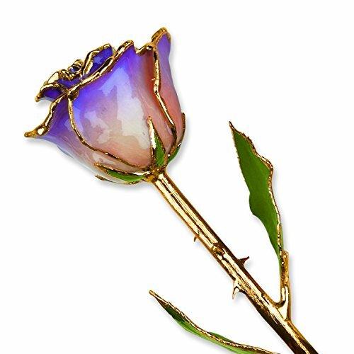 White & Blue Opal Genuine Rose 24K Gold Dipped Nieuw, winstgevend