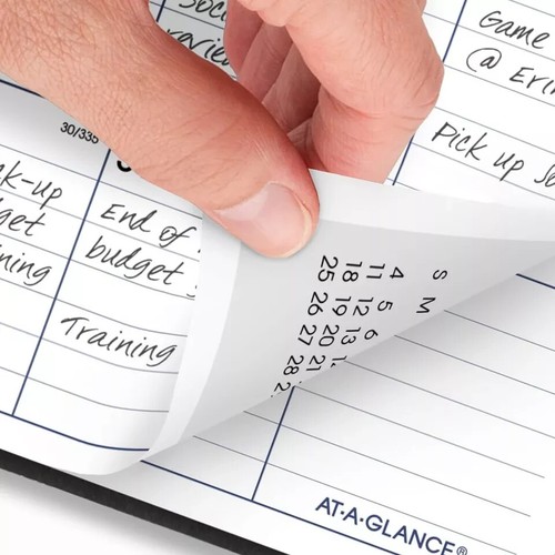 AT-A-GLANCE 2025 Planner, Mensile, 8" x 12", Grande, DayMinder, Nero STORIA - Foto 3 di 7