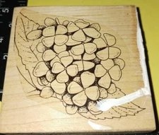 Hydrangea blossom, unknown maker,B711,unused