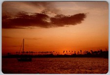 Vtg Color Snapshot Sailboat At Sunset Palm Tree Silhouette Tropical Coast 1970s