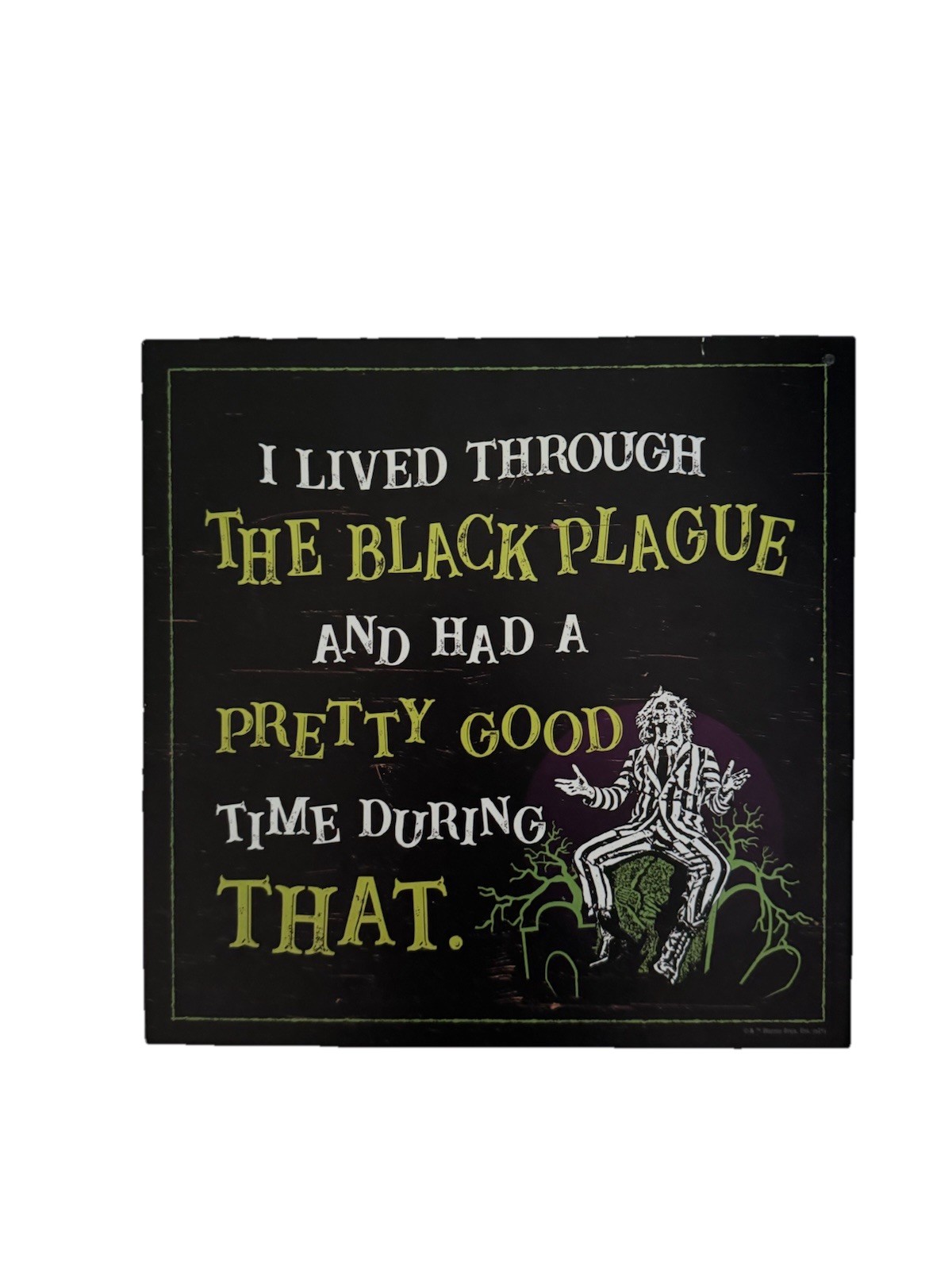 Spirt Halloween Beetlejuice Wooden Sign Plaque W Hook, Black Plague | eBay