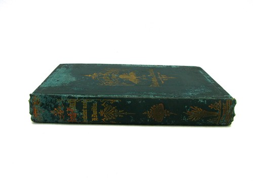 Antique 1879 German American PA Dutch Cook Book KochBuch Henriette Davidis - Picture 3 of 7