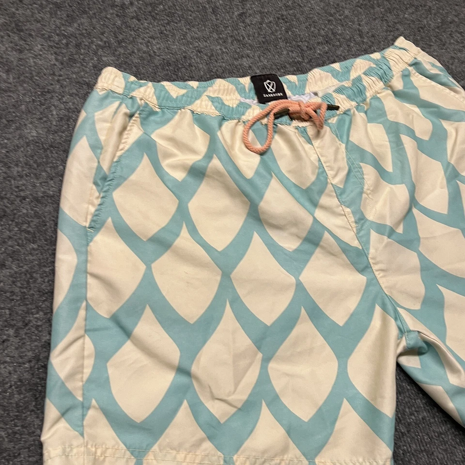 ZANEROBE Shorts Men’s Large Drawstring Stretch Swim Hybrid Logo Elastic Waist Foto 3 de 4