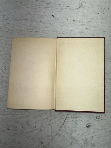 BOUVARD AND PECUCHET BY GUSTAVE FLAUBERT VOL. IX MAGEE PUBLISHER 1904 - Picture 9 of 9