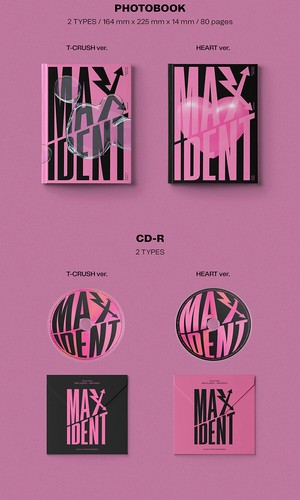 STRAY KIDS MAXIDENT Mini Album STANDARD CD+Photo Book+2Card+Poster+GIFT - Picture 6 of 17
