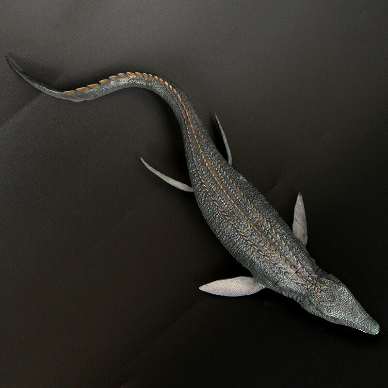 Picture 5 of 5