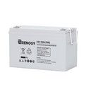 Renogy 12 V Rechargeable Batteries