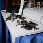 Foto 22 di 22
