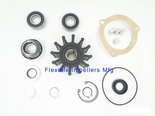 Raw Water Pump repair kit for Sherwood M71 G26 G45 G55 G1009 minor kit 23976 - Bild 2 von 2