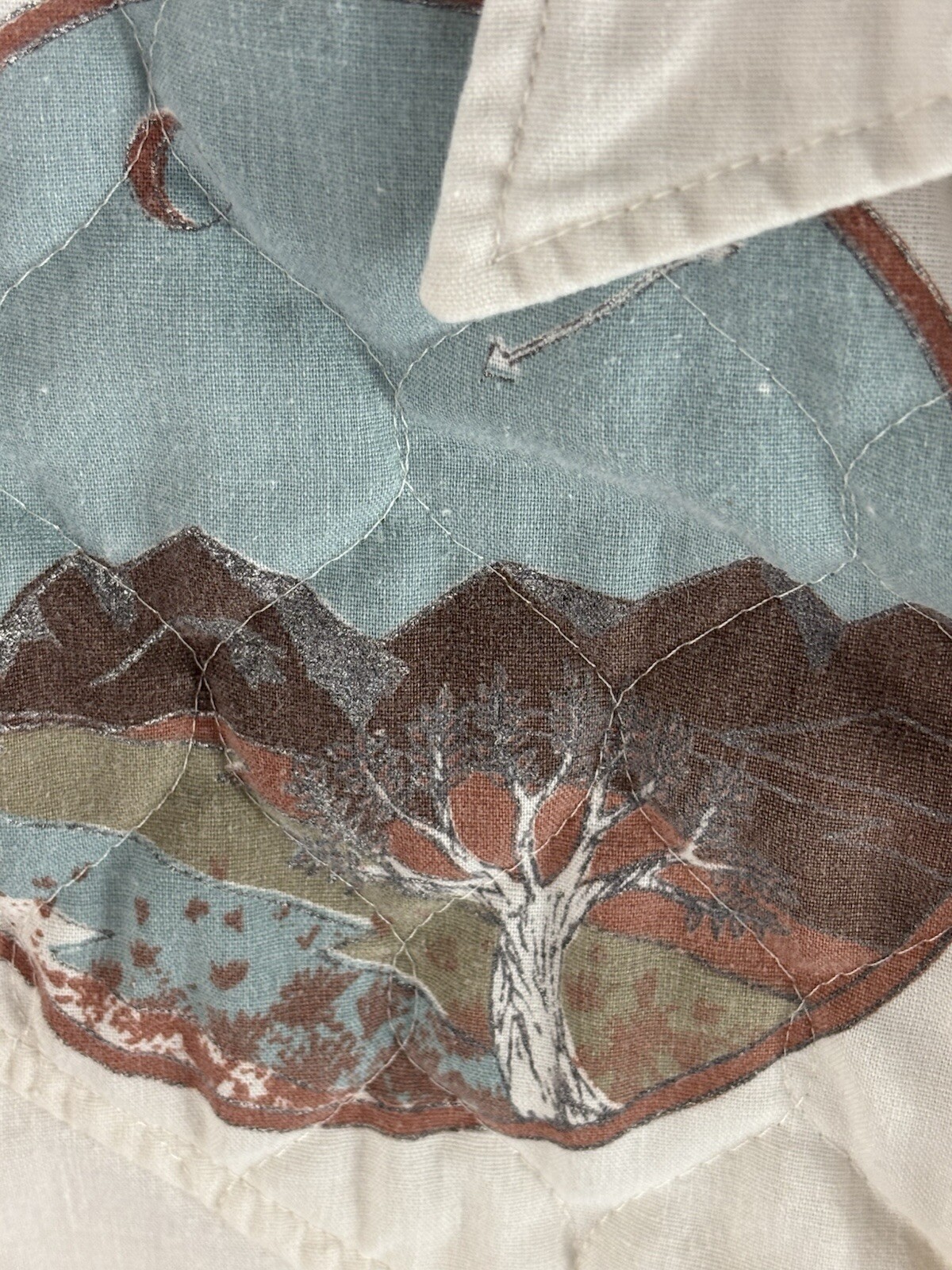 Picture 7 of 19