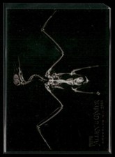 2024 Topps Allen & Ginter Baseball Oregon Zoo X-Rayed - Pick Your Card -Free S&H
