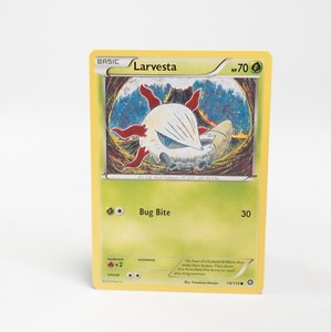 Larvesta 14/114 Pokemon XY - Steam Siege Common NM