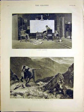 Original Old Antique Print Canvas Distaste Fine Art 1884 Bull Cow 19th