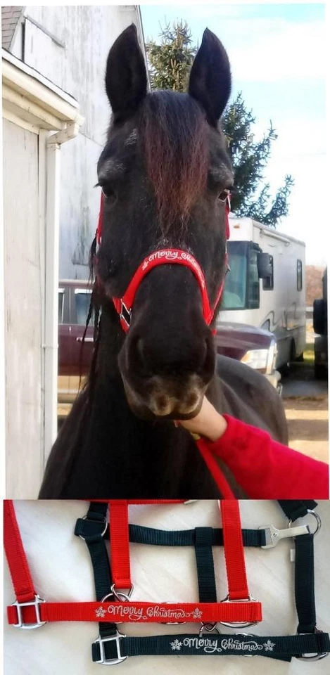 EQUITEM MINI PONY COB HORSE Nylon Halter-Red Or Green Embroidered 'Merry Christmas' NEW!