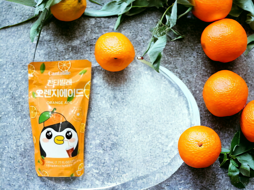 Cantabile Koreanische Beutel Getränk | Koreanischer Tee Kaffeetasche Getränk | Asiatische Snackbox | - Bild 22 von 35