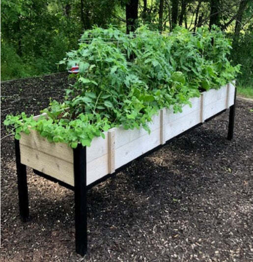 8' x 2' RAISED GARDEN BED Red Cedar Elevated Plant Box eBay
