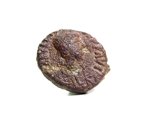 Byzantine-Ostrogoti (Giustiniano I-Teodato) 5 Nummi-ROME - Imagen 3 de 7