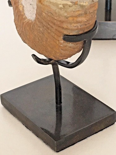 Fossil Ammonite Heteromorph On Bronze Stand - Picture 9 of 10