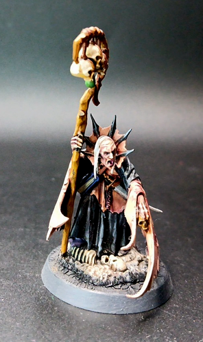 Warhammer Age of Sigmar Soulblight Gravelords Necromancer Well Painted - Bild 3 von 6
