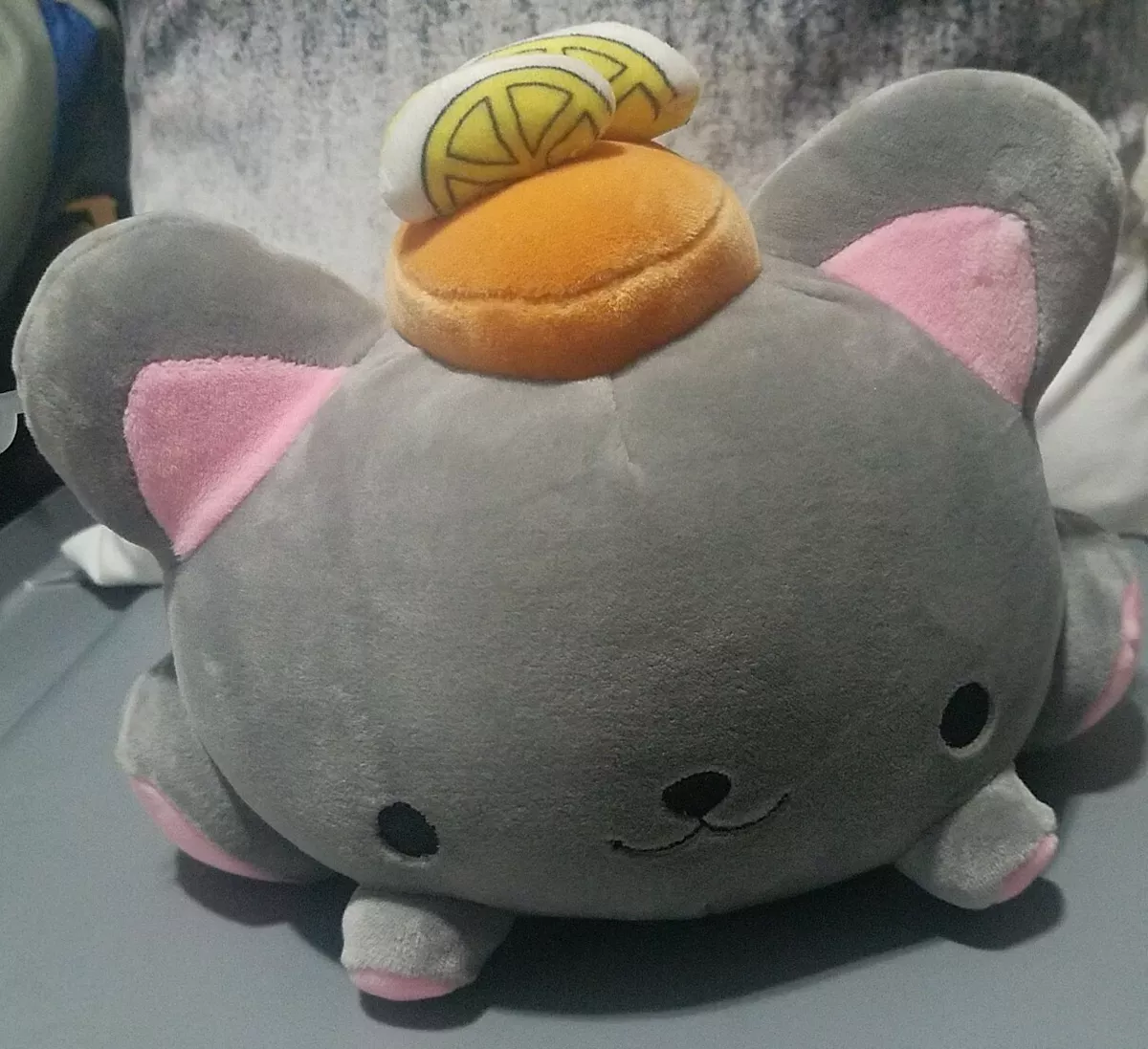 Smooshy mushy store cat