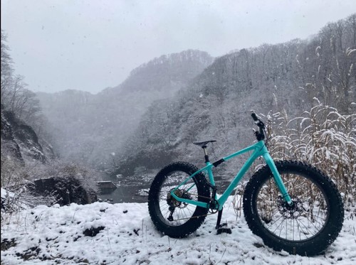 26er Snow/Cross Country Carbon Fat Bicycle Rim 95*18mm Clincher  Ring Disc Brake - Photo 12/12