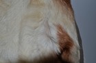 Bild 12 von 13