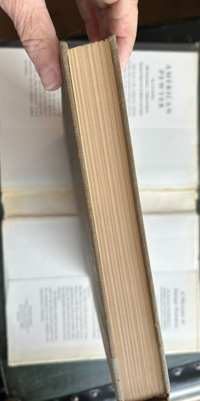 Foto 2 di 10