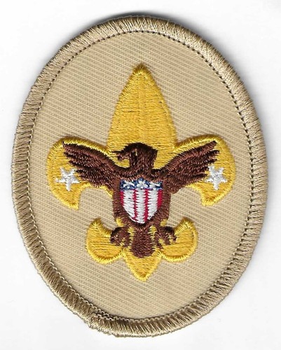 SCOUTS BSA TENDERFOOT RANK AWARD PATCH & CARD CURRENT LIGHT-TAN MINT SINCE 1910 - Picture 2 of 6