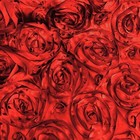 Bild 8 von 8