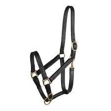 Gatsby Adj Turnout Halter w/ Snap