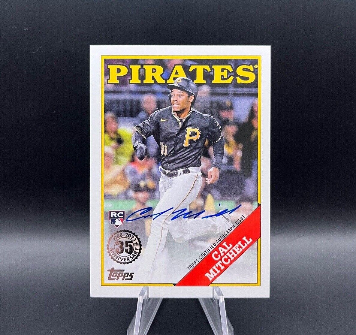 Picture 2 of 19