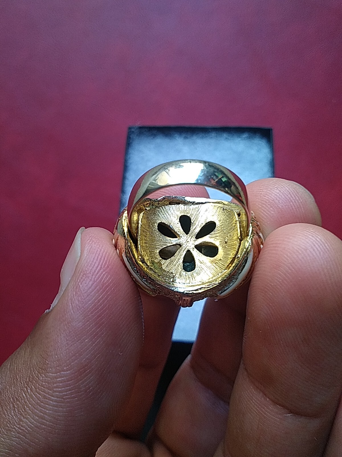Picture 11 of 20