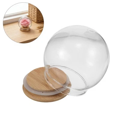  2-teiliges Set Glasglocken: Schneekugelkuppel mit Holzsockel – Dekorative - Bild 1 von 4