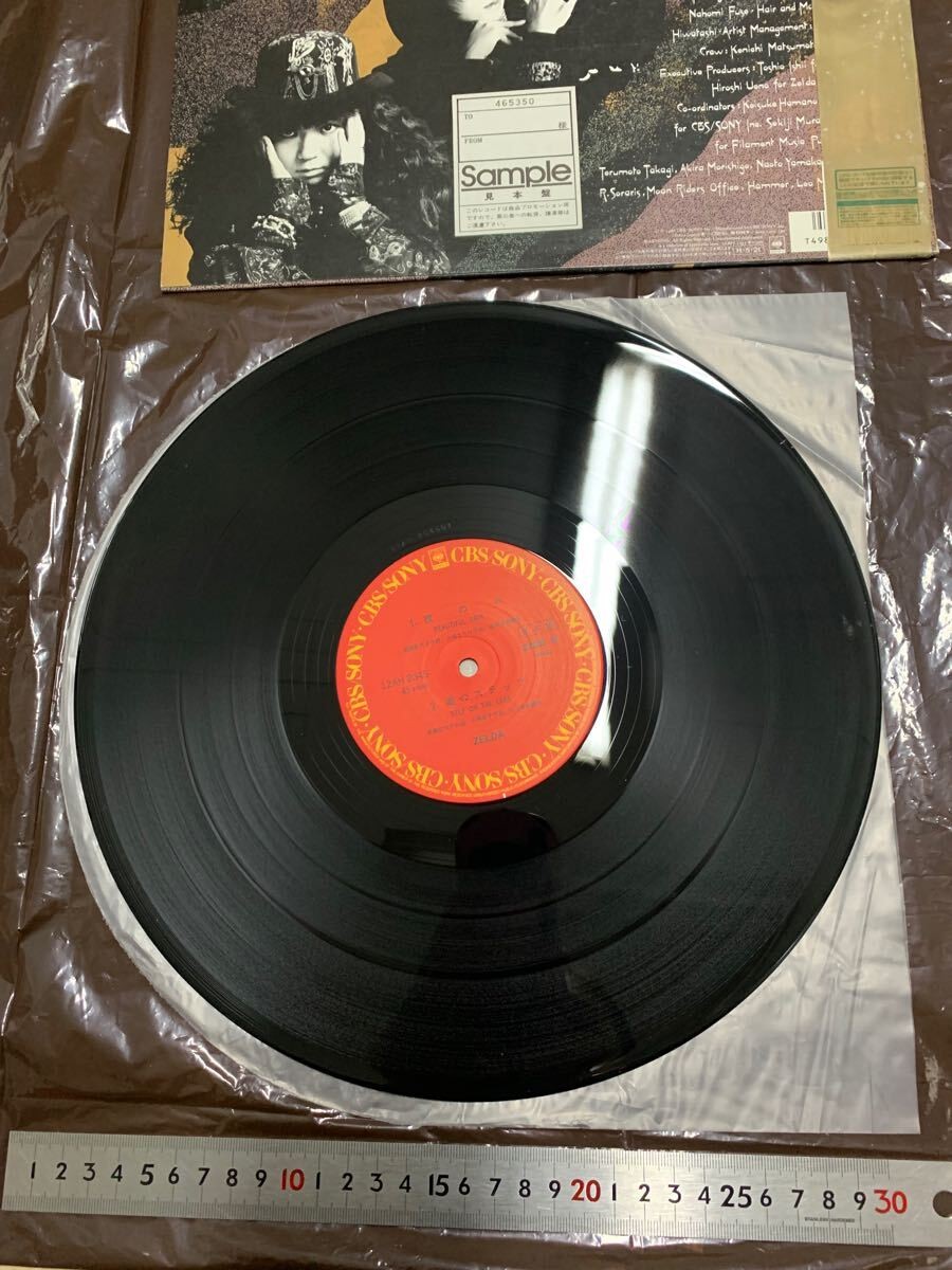 10 Lp Record Sample Zelda PC | eBay