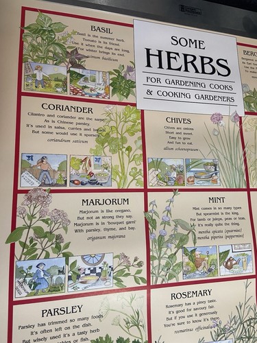 Vintage "Some Herbs For The Gardening Cooks & Cooking Gardeners" Poster 18x24 - Picture 2 of 9
