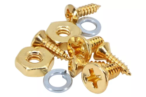 Pickguard Bracket Screw and Nut Set of 2 for  Gibson® Les Paul