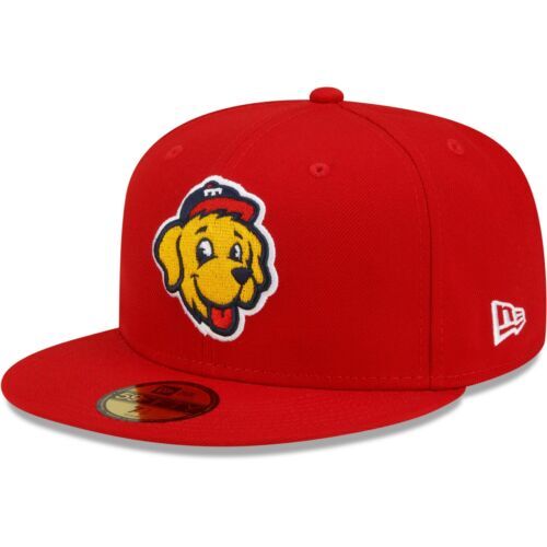 Toledo Mud Hens Logo PNG Vector (AI, SVG) Free Download