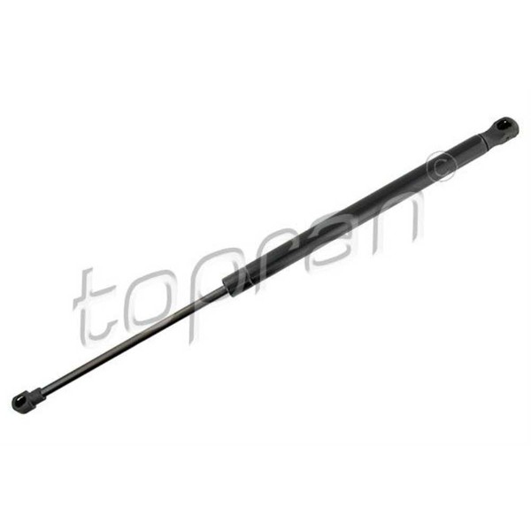 Gasfeder DäMpfer Heckklappe Fahrzeugheckklappe Beidseitig FüR Fiat 500 312_-image