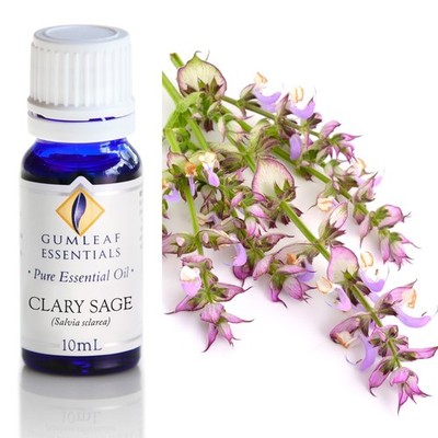 Gumleaf Essentials - Clary Sage - Essential Oil - 10 mL