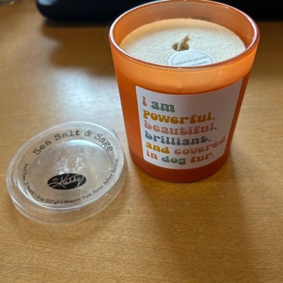 Positive Affirmation Sea Salt & Sage Candle
