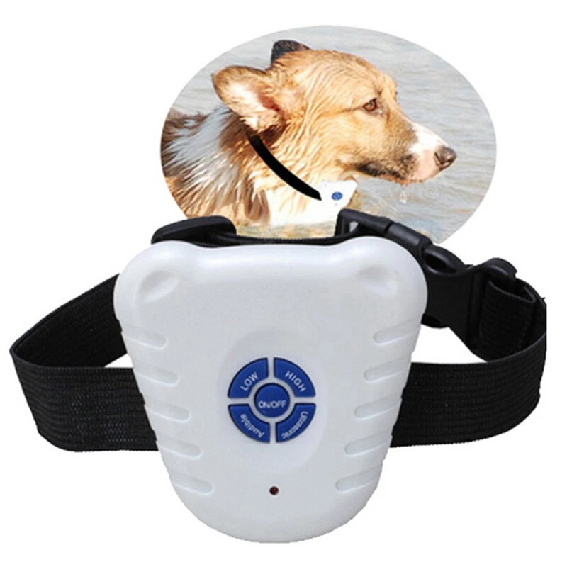 A bark 2025 away dog training